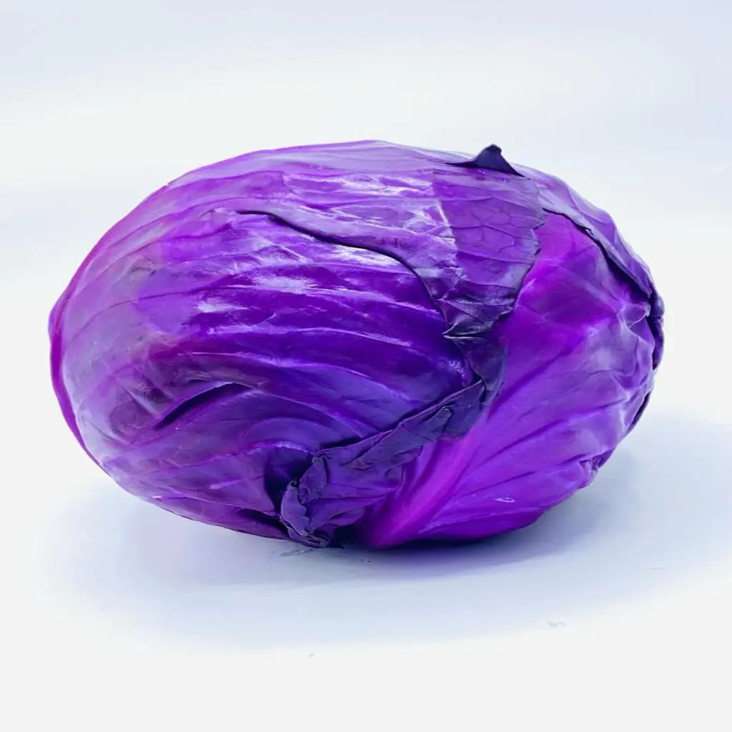 ملفوف أحمر